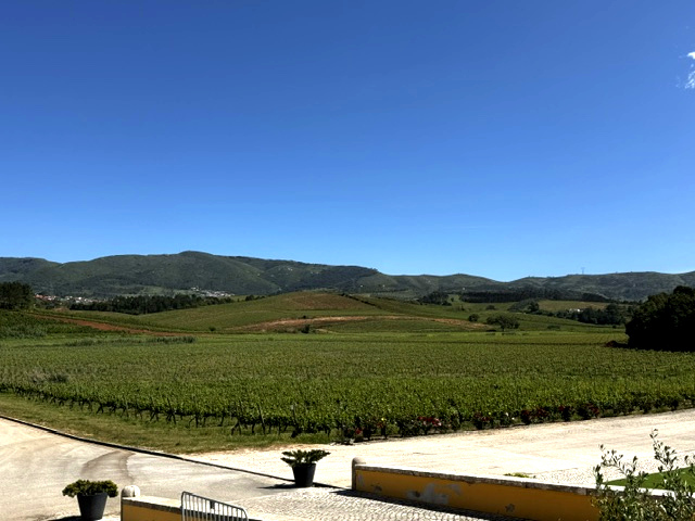 07-0066-quinta-do-gradil